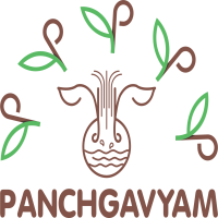 Panchgavya | Immunity Booster | Blood Purifier Medicine |Supplement fo